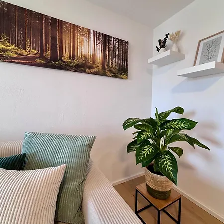 Schwarzwaldnest In Apartamento